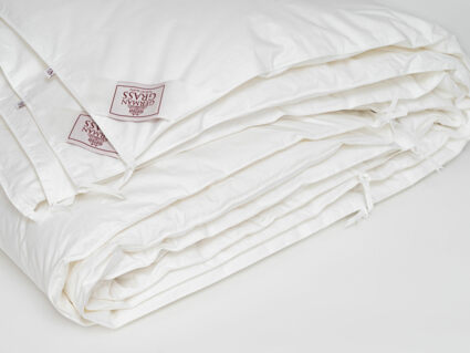 Одеяло German Grass Alliance Down&Down Grass всесезонное/всесезонное Light 200х220