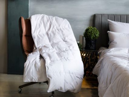 Одеяло German Grass Gray Familie Down всесезонное 160х220