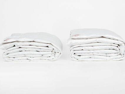 Одеяло German Grass Silver Down Grass всесезонное 200х220