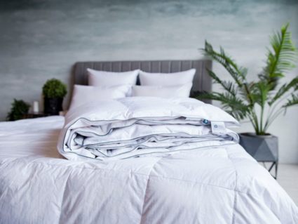 Одеяло German Grass Gray Familie Down всесезонное 160х220