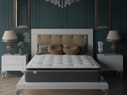 Матрас Evita SymBio Charm Medium 39