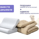 Одеяло Димакс Верблюд всесезонное + 2 подушки Sleeptek Norma-GEL BIG 200х220